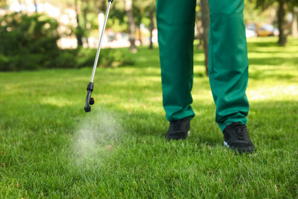 Best Bed Bug Extermination  in Bridgeville, PA