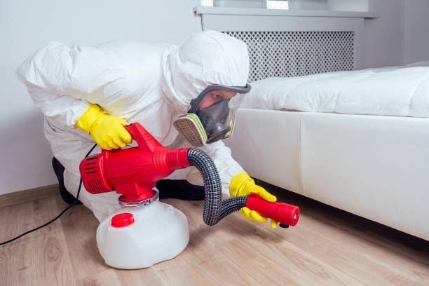Best Local Pest Control Services  in Bridgeville, PA