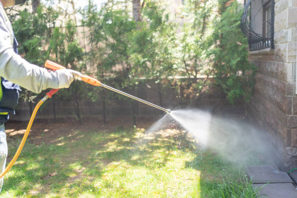 Best Best Pest Control Companies  in Bridgeville, PA