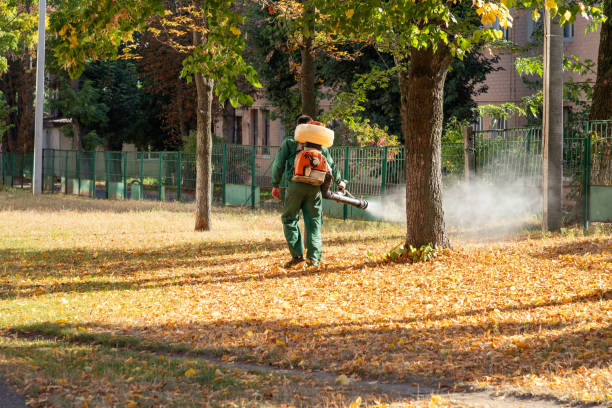 Best Wildlife Control Services  in Bridgeville, PA