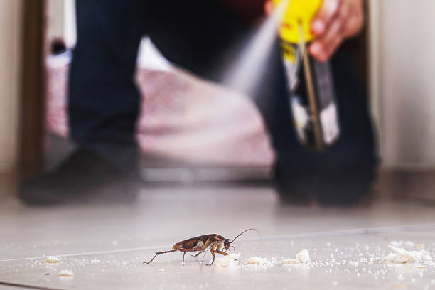Best Pest Inspection Near Me  in Bridgeville, PA