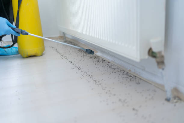 Best Best Pest Control Companies  in Bridgeville, PA