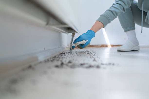 Best Exterminator Services  in Bridgeville, PA