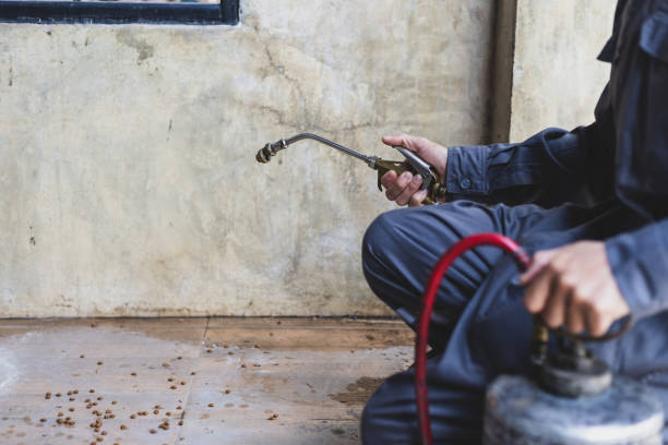 Best Local Pest Control Services  in Bridgeville, PA