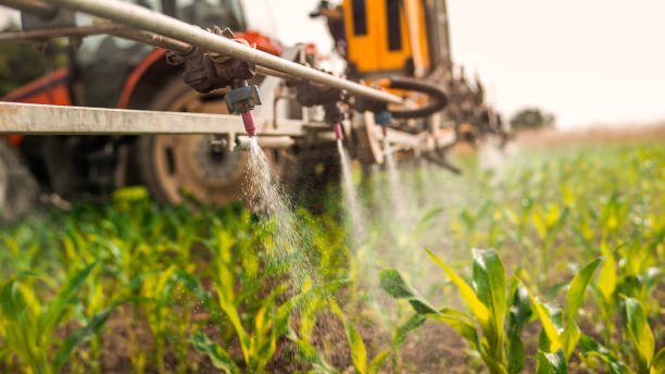 Best Mosquito Control Services  in Bridgeville, PA